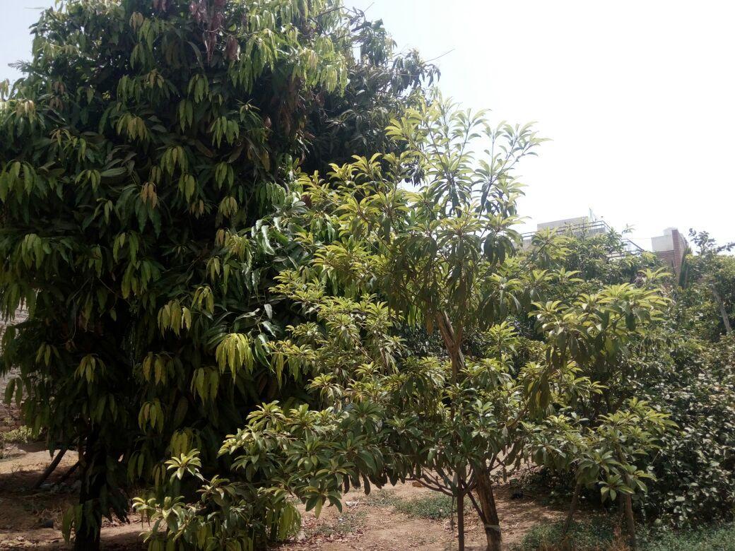 Nature Trail Camps & Homestay 焦特布尔 外观 照片