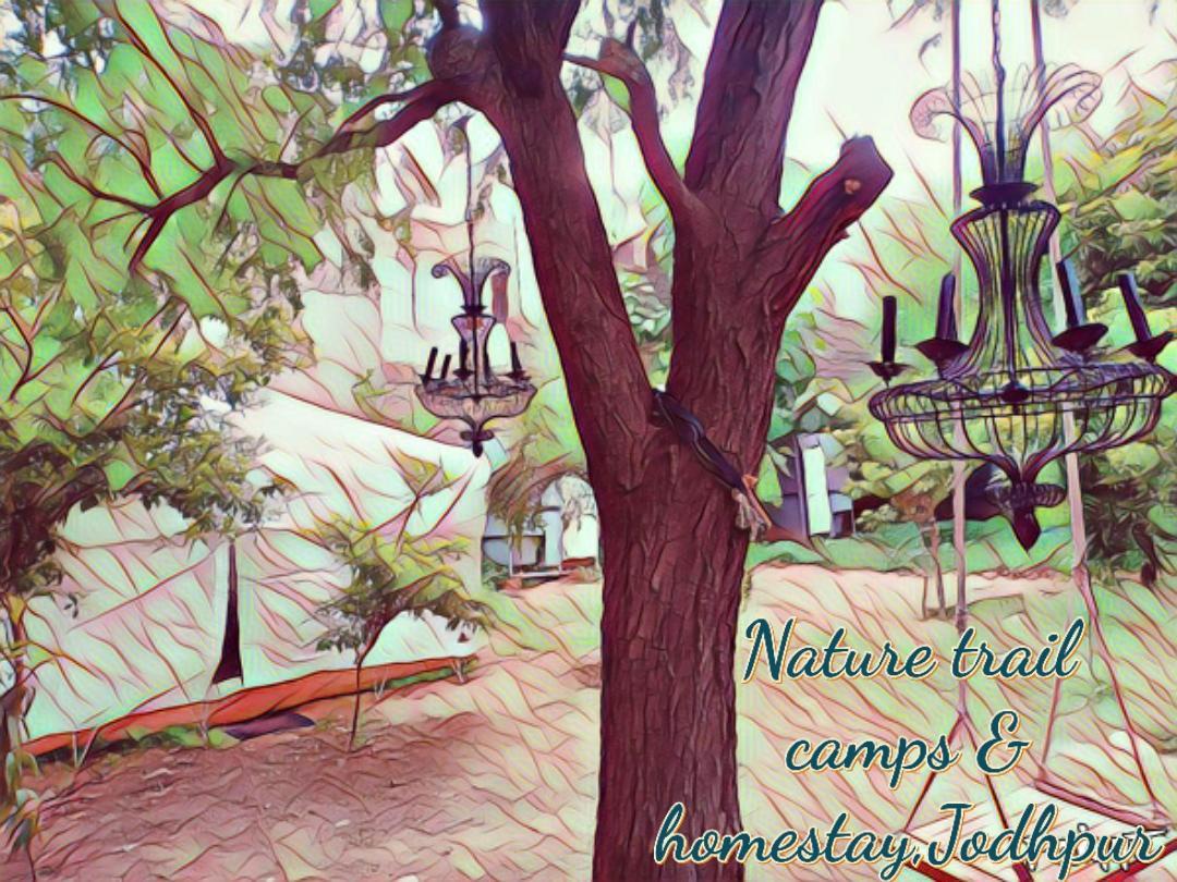 Nature Trail Camps & Homestay 焦特布尔 外观 照片