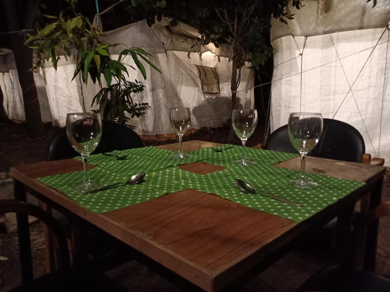 Nature Trail Camps & Homestay 焦特布尔 外观 照片
