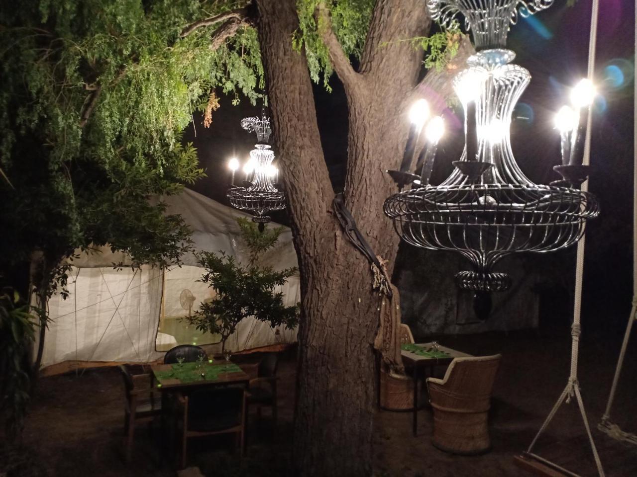 Nature Trail Camps & Homestay 焦特布尔 外观 照片