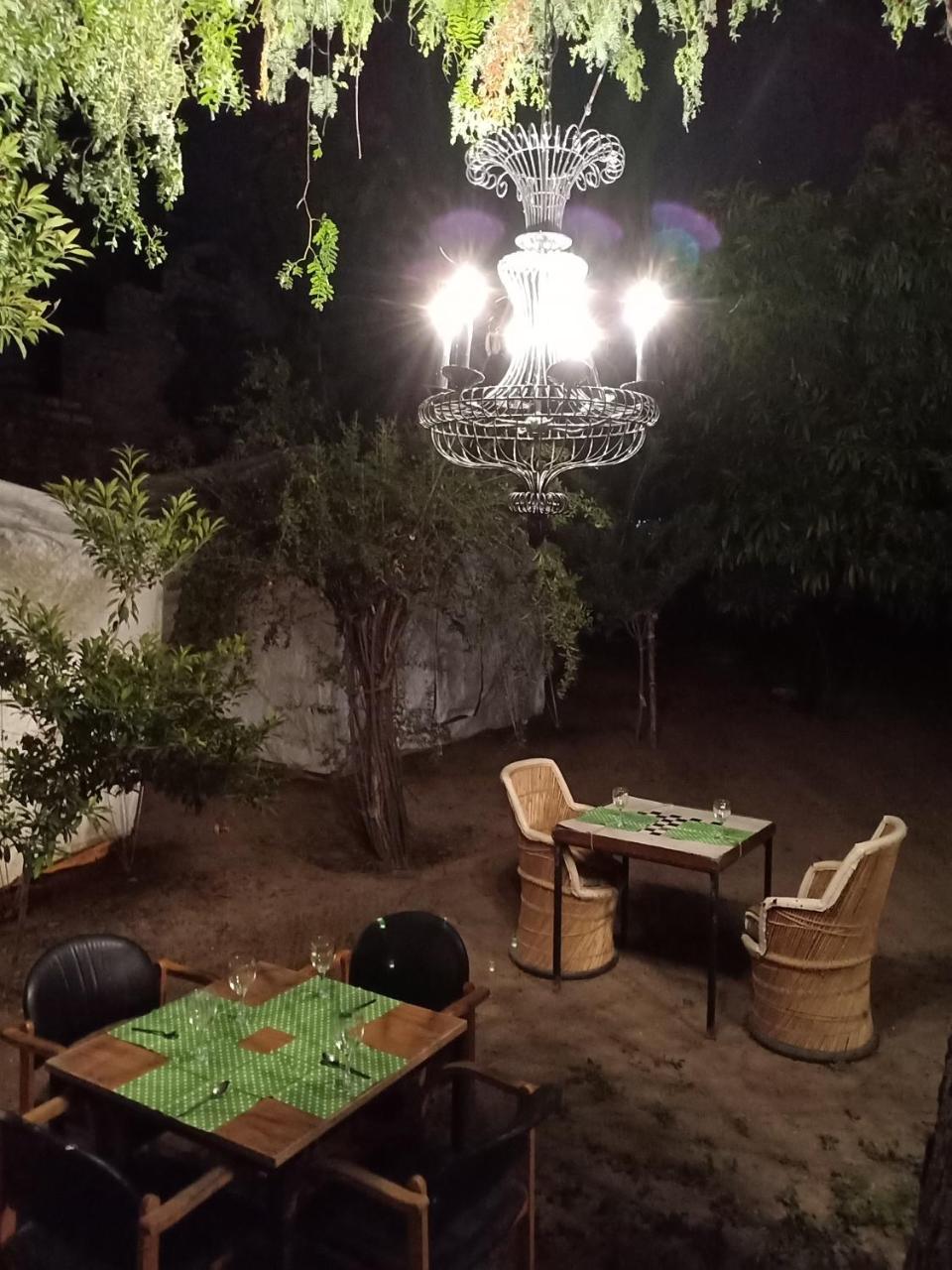 Nature Trail Camps & Homestay 焦特布尔 外观 照片
