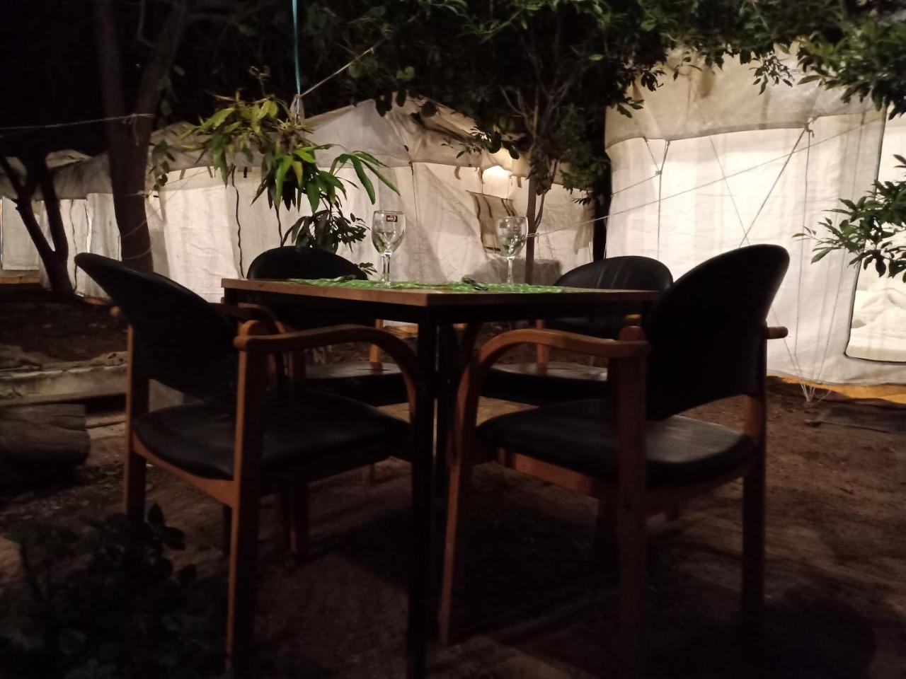 Nature Trail Camps & Homestay 焦特布尔 外观 照片