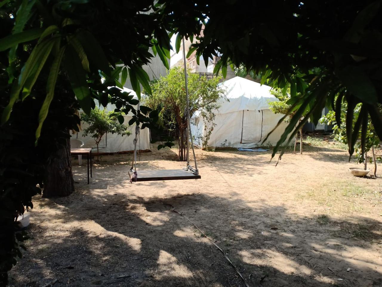 Nature Trail Camps & Homestay 焦特布尔 外观 照片